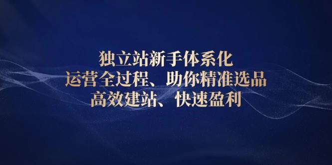 独立站新手如何系统化运营：精准选品技巧、高效建站指南与快速盈利策略-北漠网络