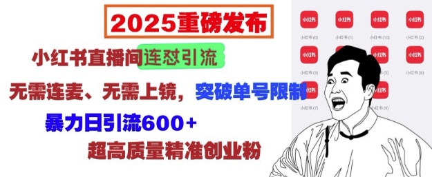 2025年革新策略：小红书直播间高效引流秘籍，无需连麦无需露面，打破账号限制，实现日引流600+的惊人效果-北漠网络