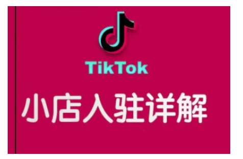 TikTok跨境电商运营指南：提升独立管理能力，实现销量飞跃-北漠网络