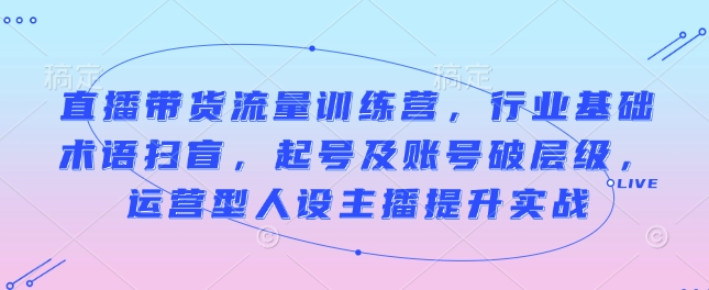 直播带货流量提升训练营：掌握行业术语，快速起号与账号层级突破，打造运营型人设主播的实战技巧-北漠网络