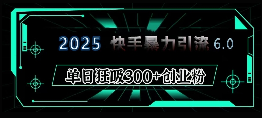 2025年快手6.0版全面升级教程：揭秘日增300+精准创业粉丝的高效策略-北漠网络