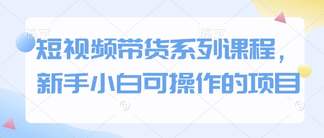 短视频带货全攻略：零基础新手小白也能轻松上手的实操项目-北漠网络