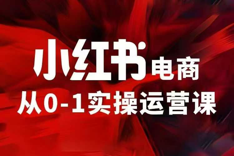 小红书电商运营秘籍：97节VIP内部课程，掌握小红书赚钱技巧，快速提升销量-北漠网络