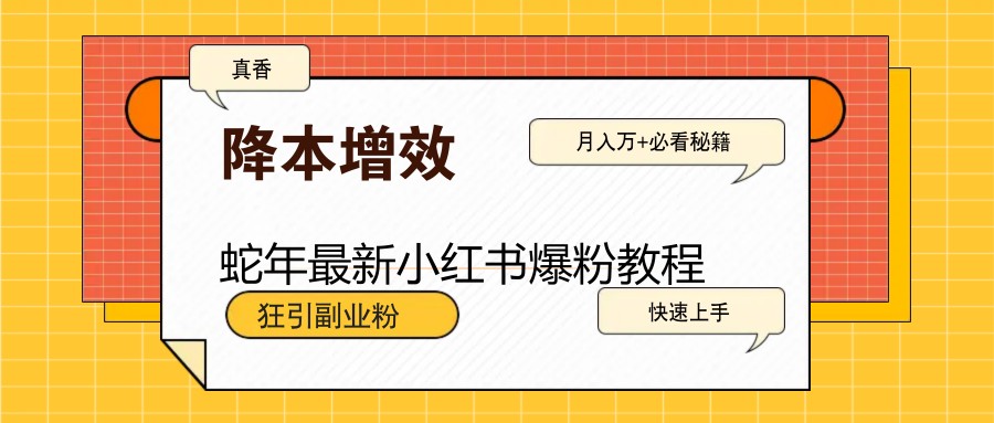 蛇年最新小红书爆粉教程，狂引副业粉，月入万+必看-北漠网络