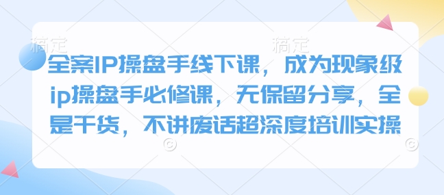 全案IP操盘手线下课，成为现象级ip操盘手必修课，无保留分享，全是干货，不讲废话超深度培训实操-北漠网络