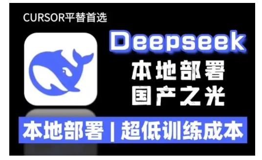 2025年deepseek R1 大型模型本地安装部署(文件+教程)本地部署，超低训练成本-北漠网络