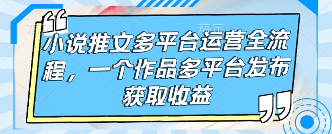 小说推文多平台运营全流程，一个作品多平台发布获取收益-北漠网络