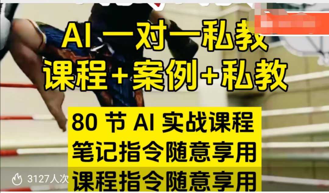 AI指令实战课，课程+案例，80节AI实战课程，笔记指令随意享用，课程指令随意享用-北漠网络