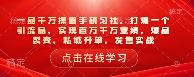 一品千万操盘手研习社，打爆一个引流品，实现百万千万业绩，爆品裂变，私域升单，发售实战-北漠网络