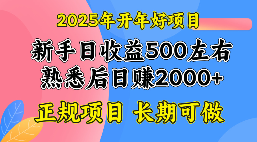 2025开年好项目，单号日收益2000左右-北漠网络