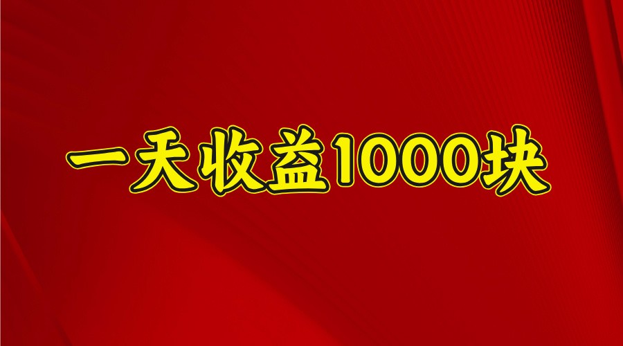 一天收益1000块，2025全网首发-北漠网络