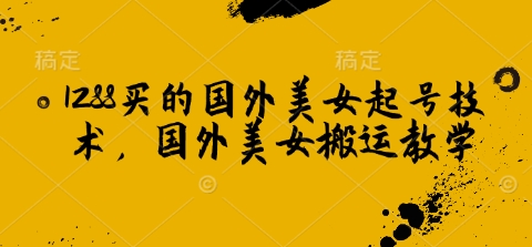 1288买的国外美女起号技术，国外美女搬运教学-北漠网络