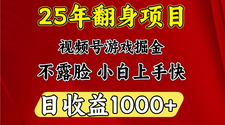 一天收益1000+ 25年开年落地好项目-北漠网络