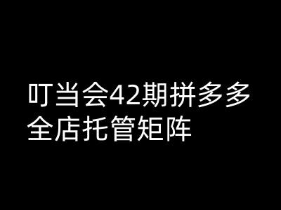 叮当会拼多多打爆班原创高阶技术第42期，拼多多全店托管矩阵-北漠网络