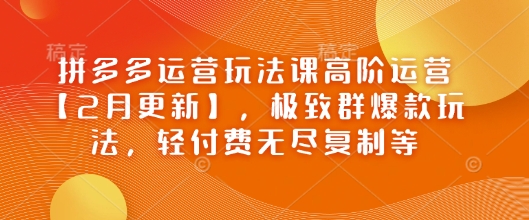 拼多多运营玩法课高阶运营【2月更新】，极致群爆款玩法，轻付费无尽复制等-北漠网络