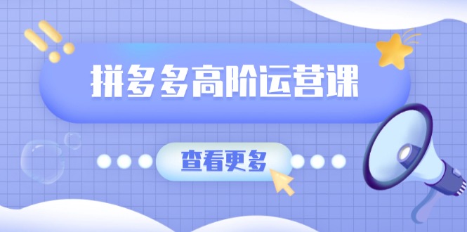 拼多多高阶运营课：极致群爆款玩法，轻付费无尽复制，打造单品爆款之路-北漠网络