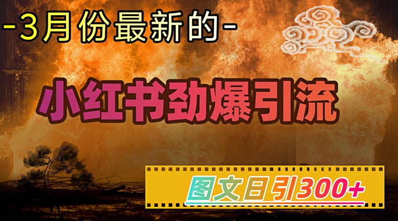 小红书超劲爆引流手段，图文日引300+轻松变现1W-北漠网络