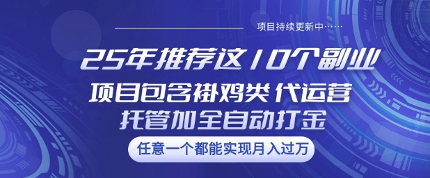 25年推荐这10个副业项目包含褂鸡类、代运营托管类、全自动打金类-北漠网络
