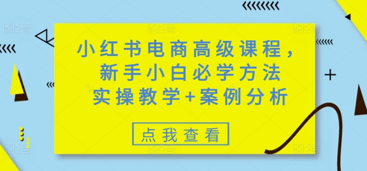 小红书电商高级课程，新手小白必学方法，实操教学+案例分析-北漠网络