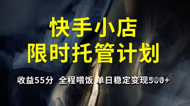 快手小店限时托管计划，收益55分，全程喂饭，单日稳定变现5张-北漠网络