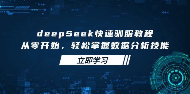 deepSeek快速驯服教程，从零开始，轻松掌握数据分析技能-北漠网络