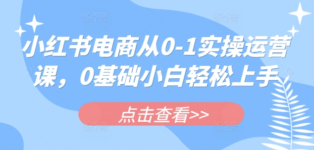 小红书电商从0-1实操运营课，0基础小白轻松上手-北漠网络