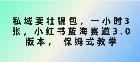 私域卖壮锦包，一小时3张，小红书蓝海赛道3.0版本， 保姆式教学-北漠网络