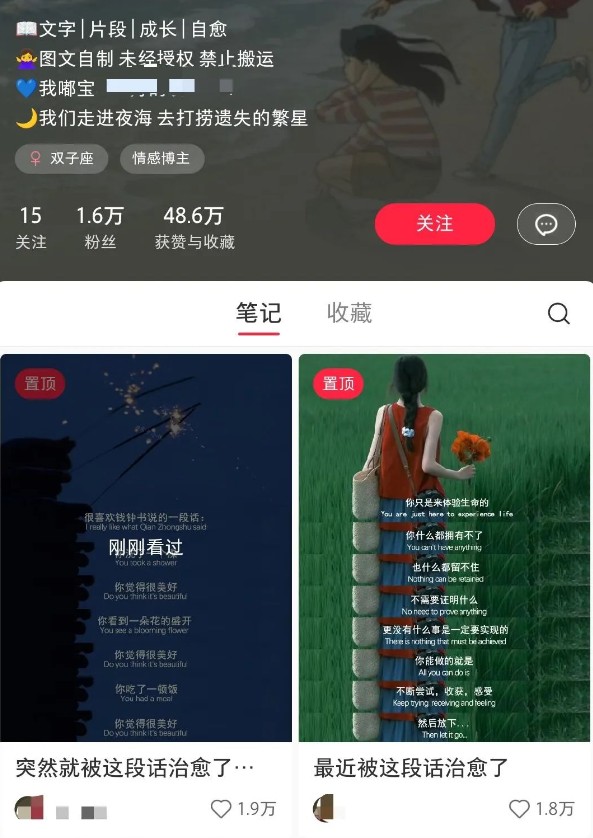 小红书治愈文案图文笔记：零门槛、一分钟轻松制作，轻松打造爆款作品，实现月入万元！-北漠网络