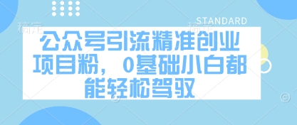 零基础小白也能轻松掌握的精准创业项目，助力公众号引流粉丝-北漠网络