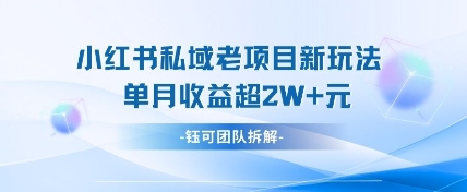 小红书私域项目创新策略，实现单月收益超万元-北漠网络