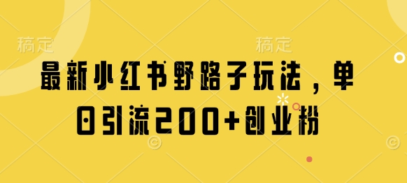 最新小红书引流技巧，单日吸引200+创业粉丝的方法-北漠网络