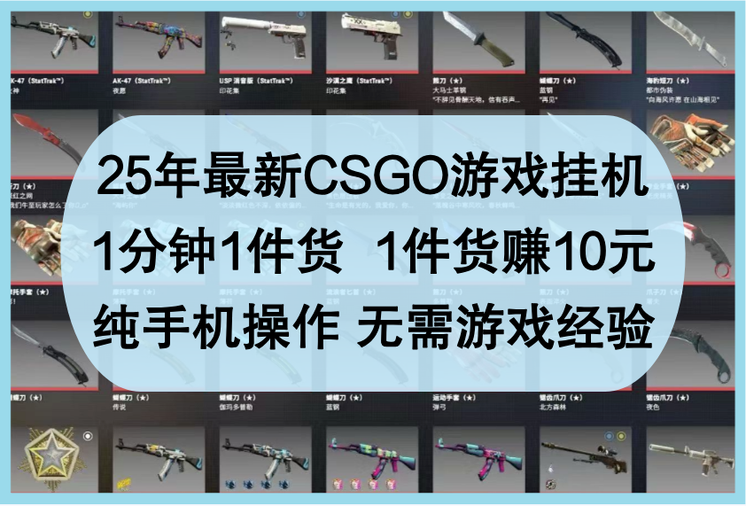 2023年最新CSGO挂机方案：一分钟赚10元，零游戏经验全手机操作！-北漠网络
