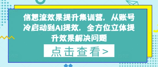 全方位提升效果与解决方案：账号冷启动与AI效率优化训练营-北漠网络