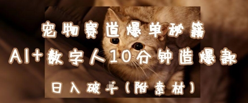 宠物行业盈利秘籍：如何在10分钟内利用AI与数字人创造热销产品，日赚1000元-北漠网络
