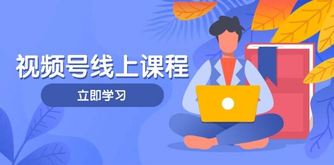 视频号实战课程：轻IP打造与运营技巧，掌握核心方法与策略全解析-北漠网络