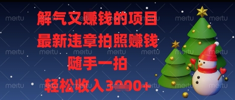 轻松赚取收入的项目：最新违章拍照赚钱方法，随手一拍，收入翻倍！-北漠网络