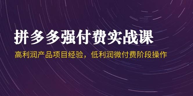 拼多多高利润项目与低利润微付费策略实战课第44期-北漠网络