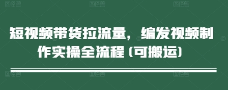短视频带货流量提升：视频制作全过程实操指南（可搬运）-北漠网络