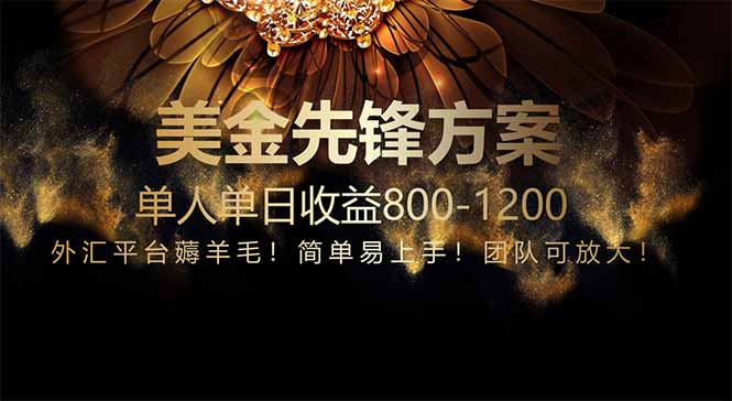 免费技术探索：小众市场，一年布局胜过三年奋斗，每日收入800+！-北漠网络