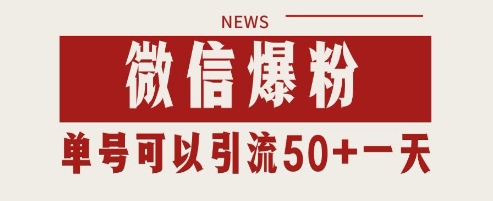 微信快速增长粉丝秘籍：私域引流策略每日吸引千名新粉丝，单账号日赚50+-北漠网络