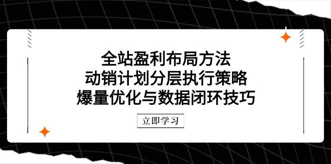全站盈利策略：动销计划分层执行、爆量优化及数据闭环技巧解析-北漠网络