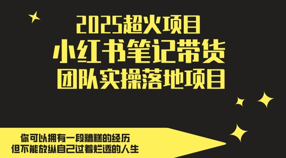 2025年热门副业项目：小红书带货团队实操，轻松实现日入5000元-北漠网络