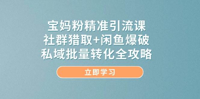 宝妈粉丝精准引流课程：社群获取、闲鱼营销与私域转化全攻略-北漠网络