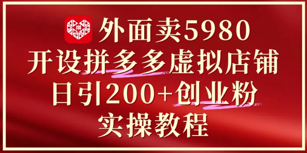 5980元开设拼多多虚拟店铺：单日吸引200+付费粉丝的实战创业指导-北漠网络