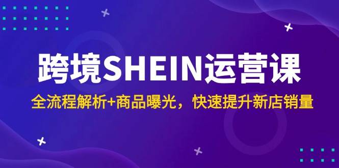 SHEIN跨境电商运营课程：全程解析与商品曝光技巧，助力新店销量快速提升-北漠网络
