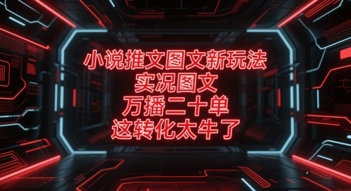 小说推广新玩法：实况图文结合，万播二十单转化超强！-北漠网络