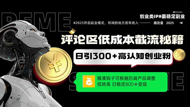 低成本引流策略：精准钩子吸引用户，单账号每日新增300+创业粉丝，稳定增长…-北漠网络