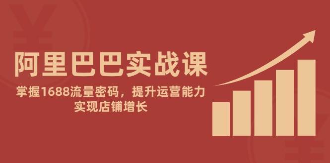 阿里巴巴实战课程：解密1688流量技巧，提升运营能力，助力店铺快速增长-北漠网络