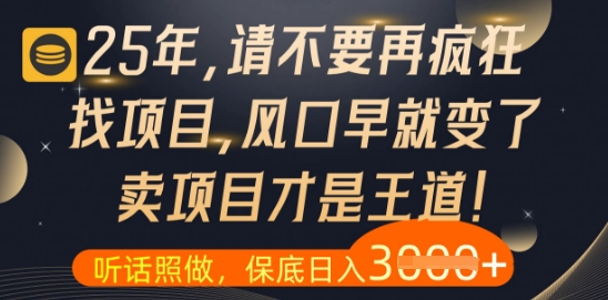 25年了，别再盲目寻找项目，这些真相让你顿悟！-北漠网络