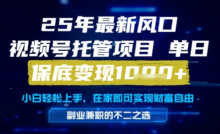 2023年最新视频号托管项目，轻松实现每日1K+变现，全程手把手指导-北漠网络